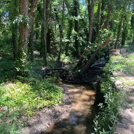 La Riviere De Arenas *