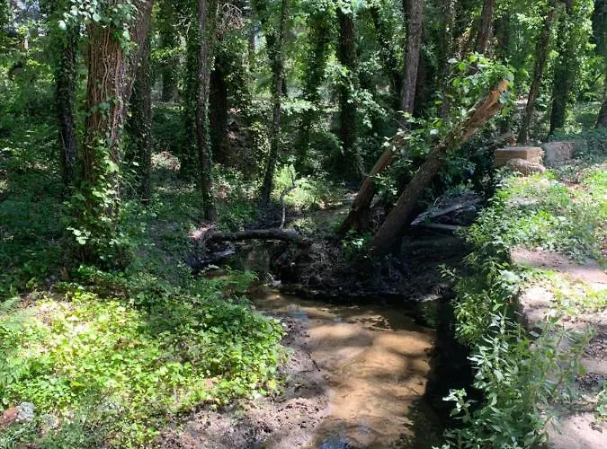 La Rivière De Arenas *